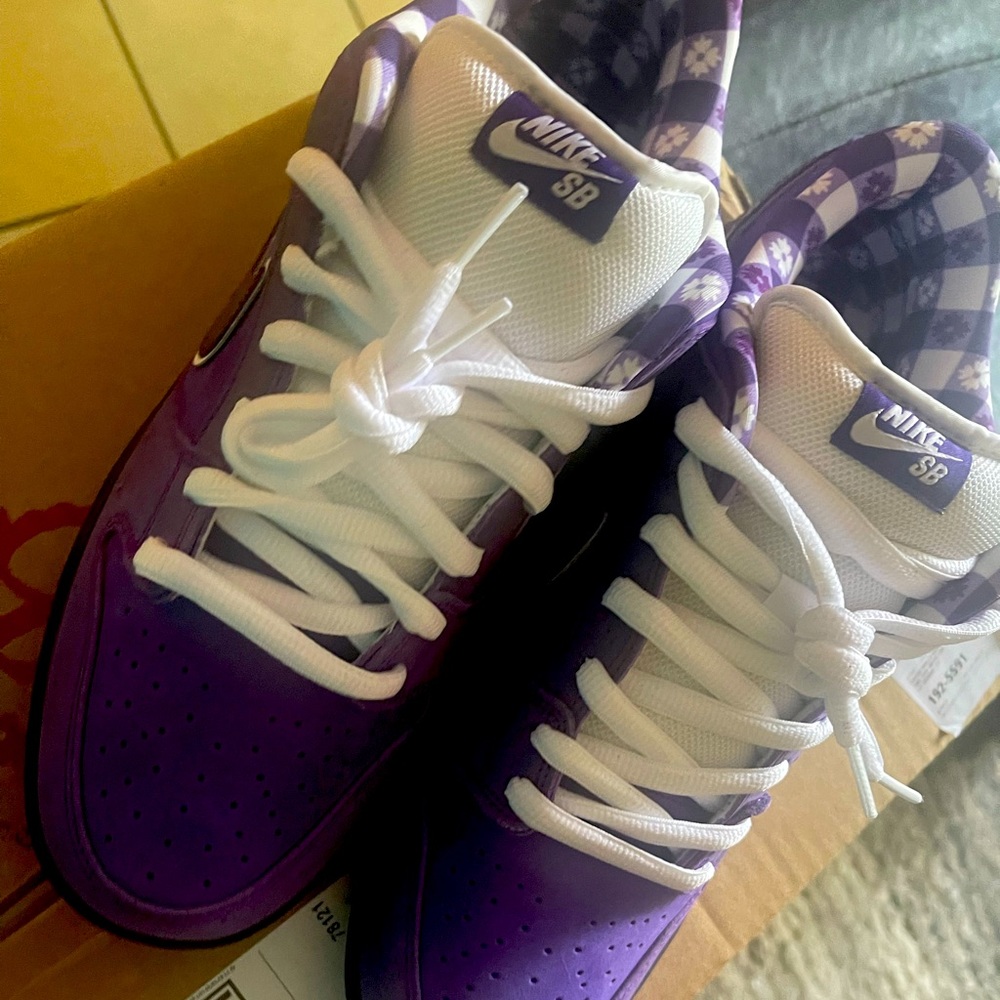 Nike sb dunk pro purple lobster